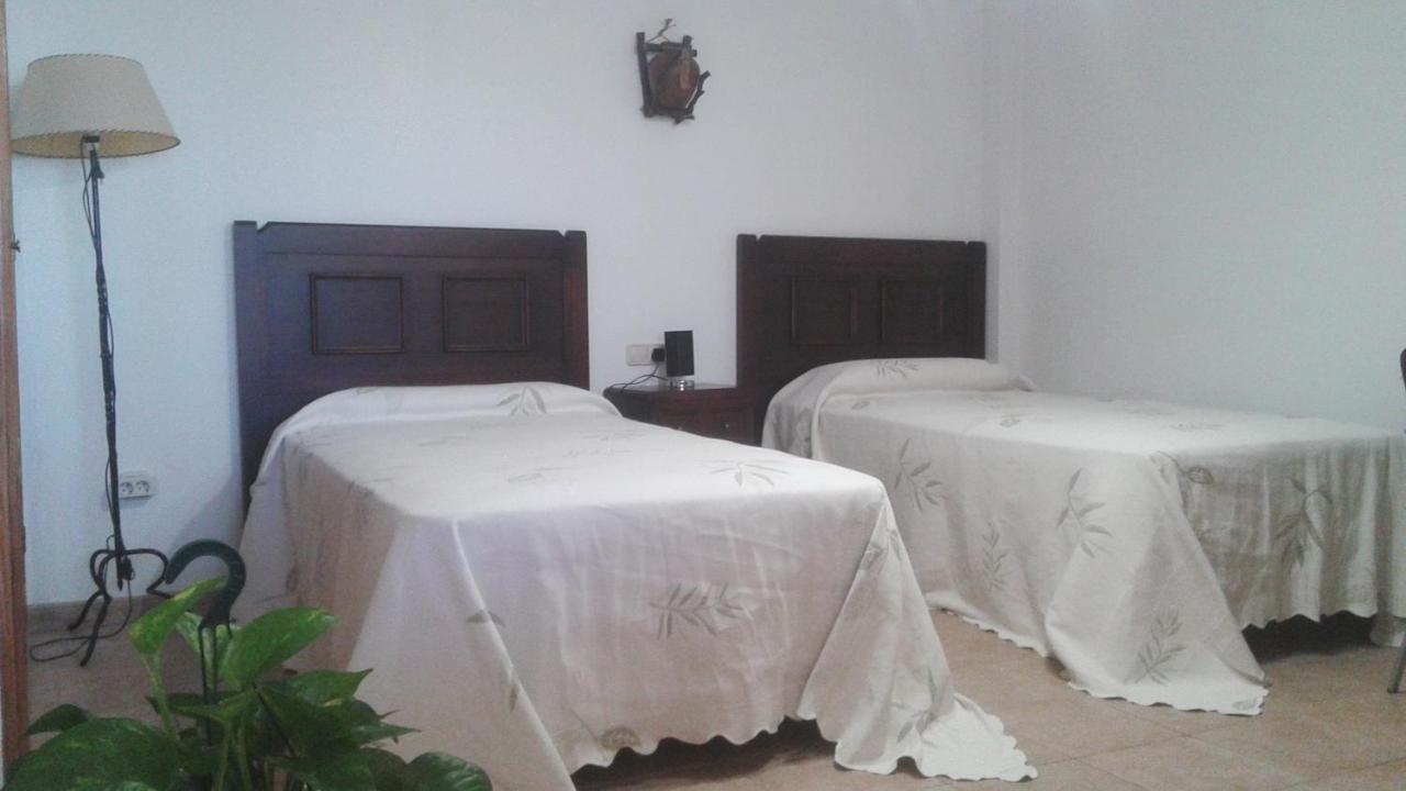 Bnb Casa Frente Al Lago Rosa 托雷维耶哈 外观 照片